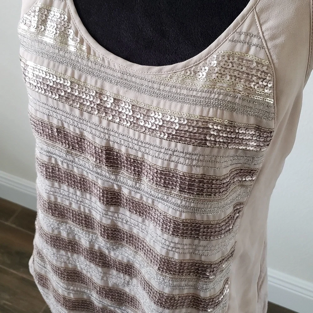 Sequin Striped Tank Express - Picture 3 of 6